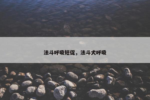 法斗呼吸短促,法斗犬呼吸 法斗呼吸短促,法斗犬呼吸