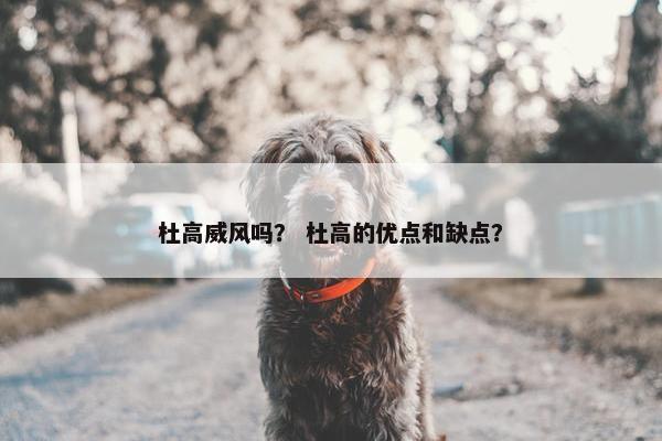 杜高威风吗？ 杜高的优点和缺点？