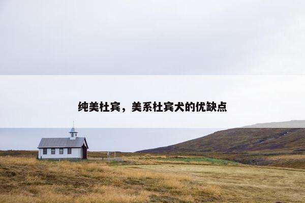 纯美杜宾，美系杜宾犬的优缺点