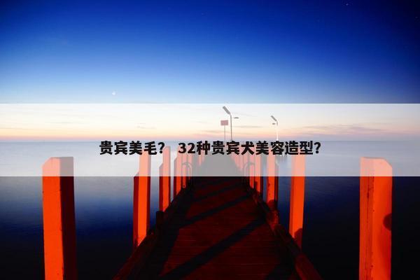 贵宾美毛？ 32种贵宾犬美容造型？