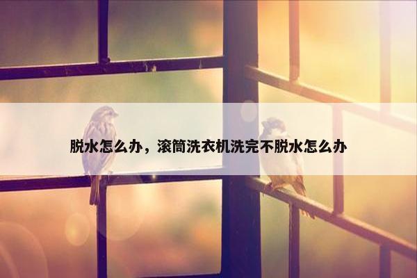 脱水怎么办，滚筒洗衣机洗完不脱水怎么办