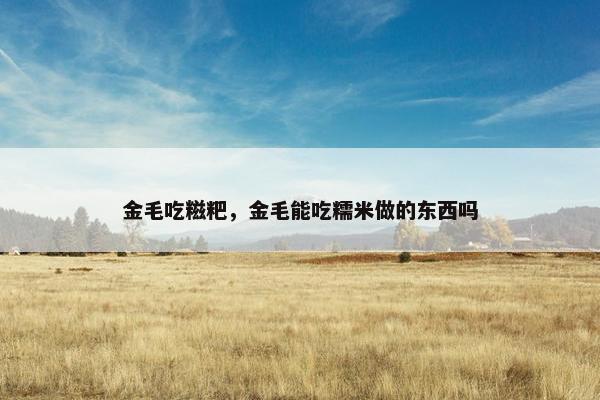 金毛吃糍粑，金毛能吃糯米做的东西吗