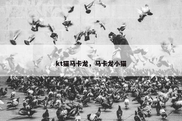 kt猫马卡龙，马卡龙小猫