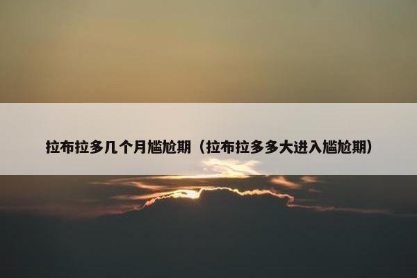 拉布拉多几个月尴尬期（拉布拉多多大进入尴尬期）