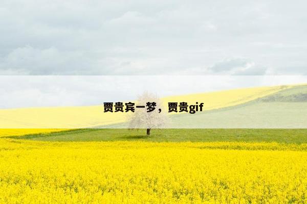 贾贵宾一梦，贾贵gif