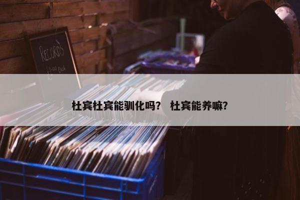 杜宾杜宾能驯化吗？ 杜宾能养嘛？