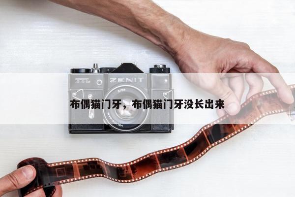 布偶猫门牙，布偶猫门牙没长出来