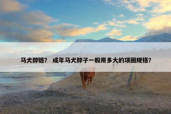 马犬脖链？ 成年马犬脖子一般用多大的项圈规格？