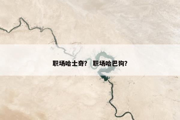 职场哈士奇？ 职场哈巴狗？