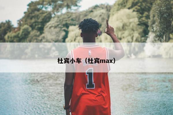 杜宾小车（杜宾max）