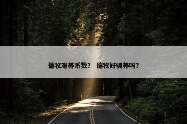 德牧难养系数？ 德牧好驯养吗？