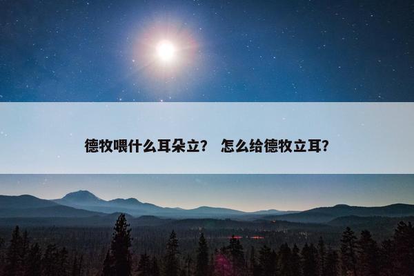 德牧喂什么耳朵立？ 怎么给德牧立耳？
