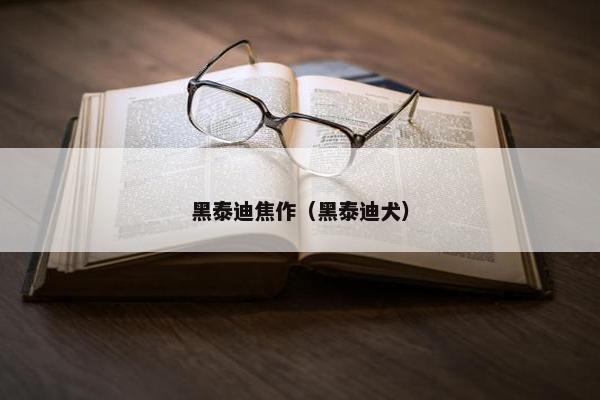 黑泰迪焦作（黑泰迪犬）