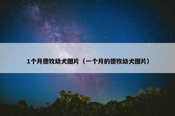 1个月德牧幼犬图片（一个月的德牧幼犬图片）