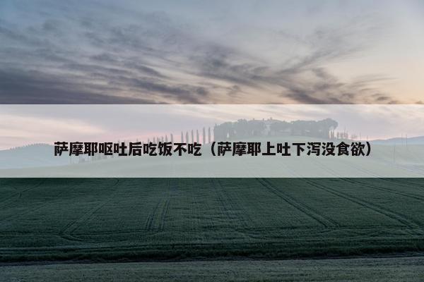 萨摩耶呕吐后吃饭不吃（萨摩耶上吐下泻没食欲）