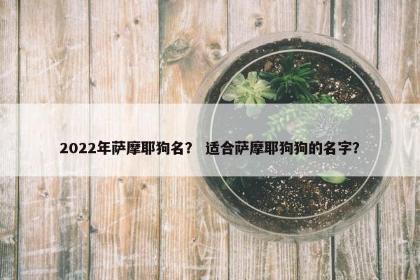 2022年萨摩耶狗名？ 适合萨摩耶狗狗的名字？