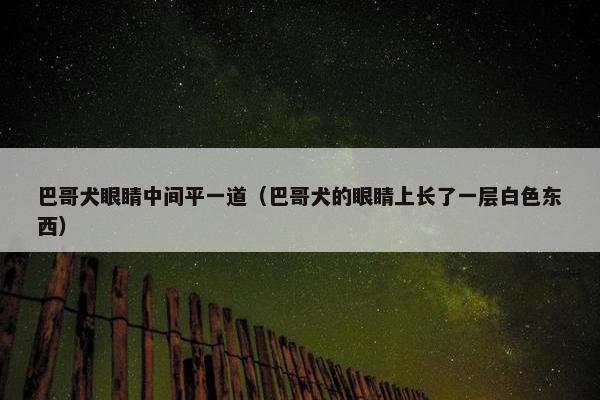 巴哥犬眼睛中间平一道（巴哥犬的眼睛上长了一层白色东西）
