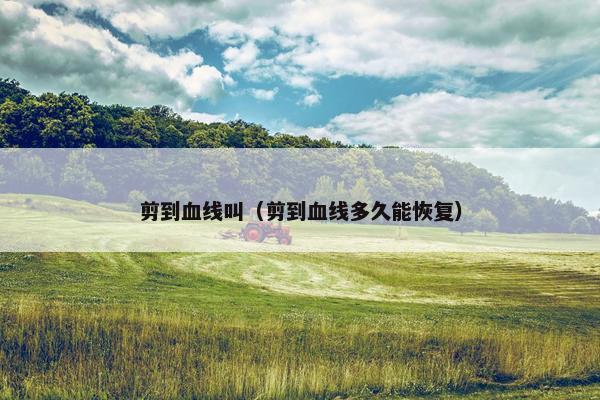 剪到血线叫（剪到血线多久能恢复）