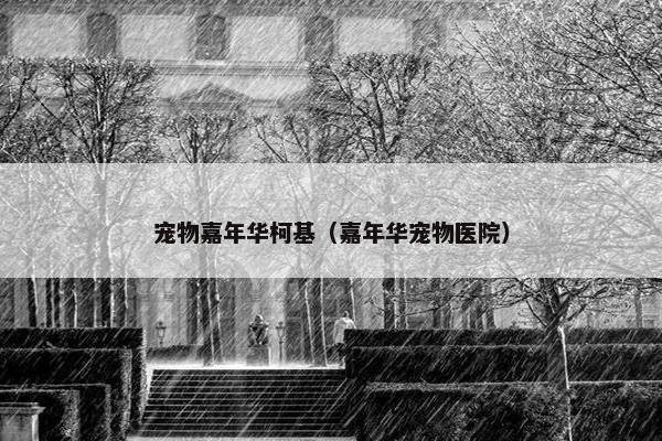 宠物嘉年华柯基（嘉年华宠物医院）