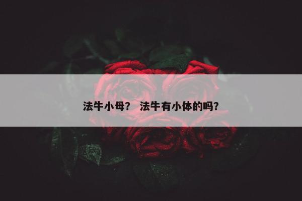 法牛小母？ 法牛有小体的吗？