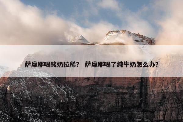 萨摩耶喝酸奶拉稀？ 萨摩耶喝了纯牛奶怎么办？