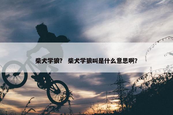 柴犬学狼？ 柴犬学狼叫是什么意思啊？