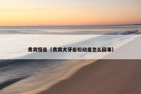 贵宾恒齿（贵宾犬牙齿松动是怎么回事）