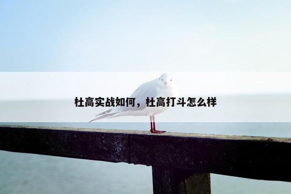 杜高实战如何，杜高打斗怎么样