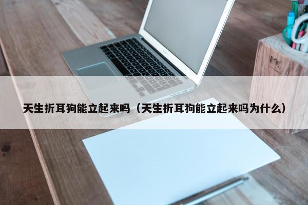 天生折耳狗能立起来吗（天生折耳狗能立起来吗为什么）