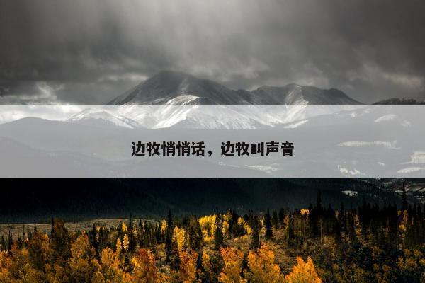 边牧悄悄话，边牧叫声音