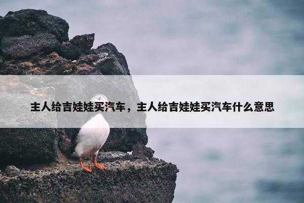主人给吉娃娃买汽车，主人给吉娃娃买汽车什么意思