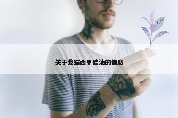 关于龙猫西甲硅油的信息