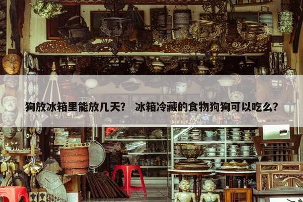 狗放冰箱里能放几天？ 冰箱冷藏的食物狗狗可以吃么？