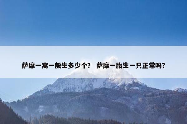 萨摩一窝一般生多少个？ 萨摩一胎生一只正常吗？