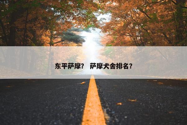 东平萨摩？ 萨摩犬舍排名？