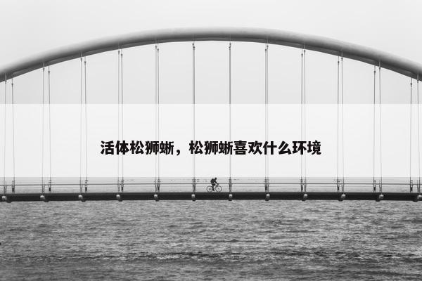 活体松狮蜥，松狮蜥喜欢什么环境