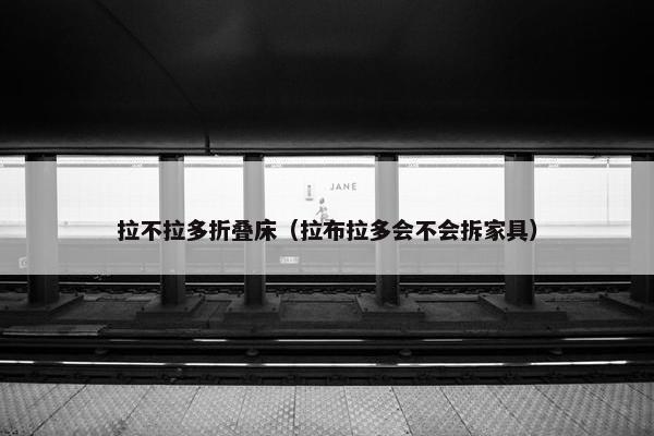 拉不拉多折叠床（拉布拉多会不会拆家具）