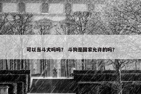 可以当斗犬吗吗？ 斗狗是国家允许的吗？