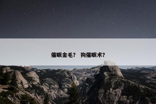 催眠金毛？ 狗催眠术？