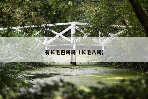 有长毛巴哥吗（长毛八哥）