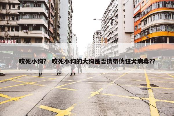 咬死小狗？ 咬死小狗的大狗是否携带伪狂犬病毒?？