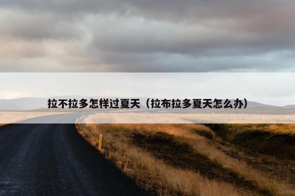 拉不拉多怎样过夏天（拉布拉多夏天怎么办）