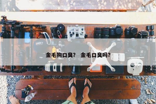 金毛狗口臭？ 金毛口臭吗？