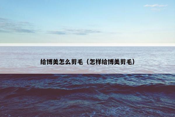 给博美怎么剪毛（怎样给博美剪毛）