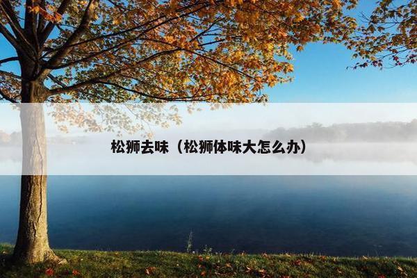 松狮去味（松狮体味大怎么办）