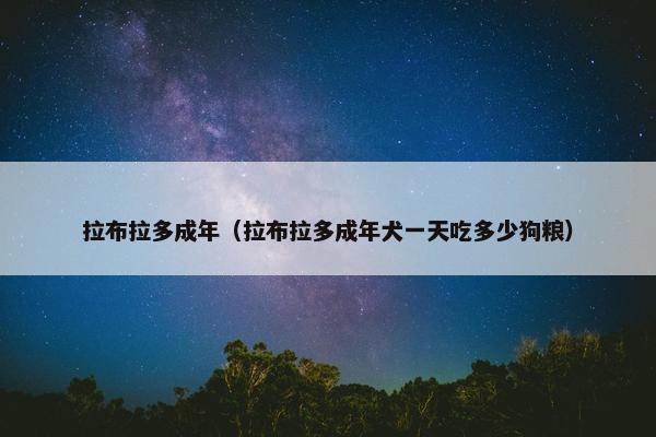 拉布拉多成年（拉布拉多成年犬一天吃多少狗粮）