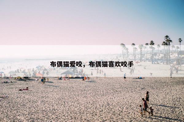 布偶猫爱咬，布偶猫喜欢咬手