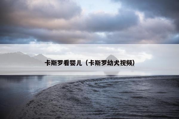 卡斯罗看婴儿（卡斯罗幼犬视频）