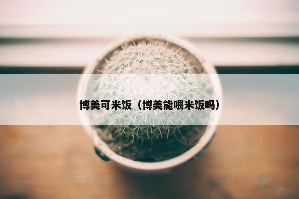 博美可米饭（博美能喂米饭吗）