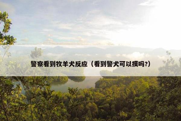 警察看到牧羊犬反应（看到警犬可以摸吗?）